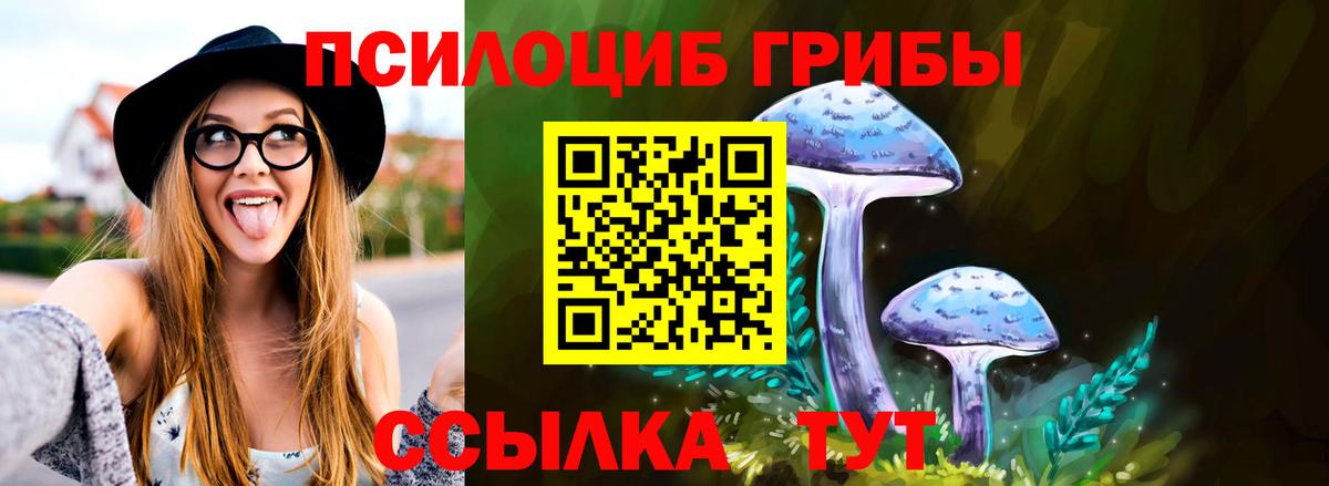 закладки  Вход с VPN  Псилоцибиновые грибы мухоморы  Ростов-на-Дону  Псилоцибиновые грибы GOLDEN TEACHER 